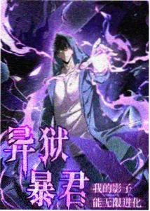 英仙座流星雨极大夜的长轨迹流星记录画面